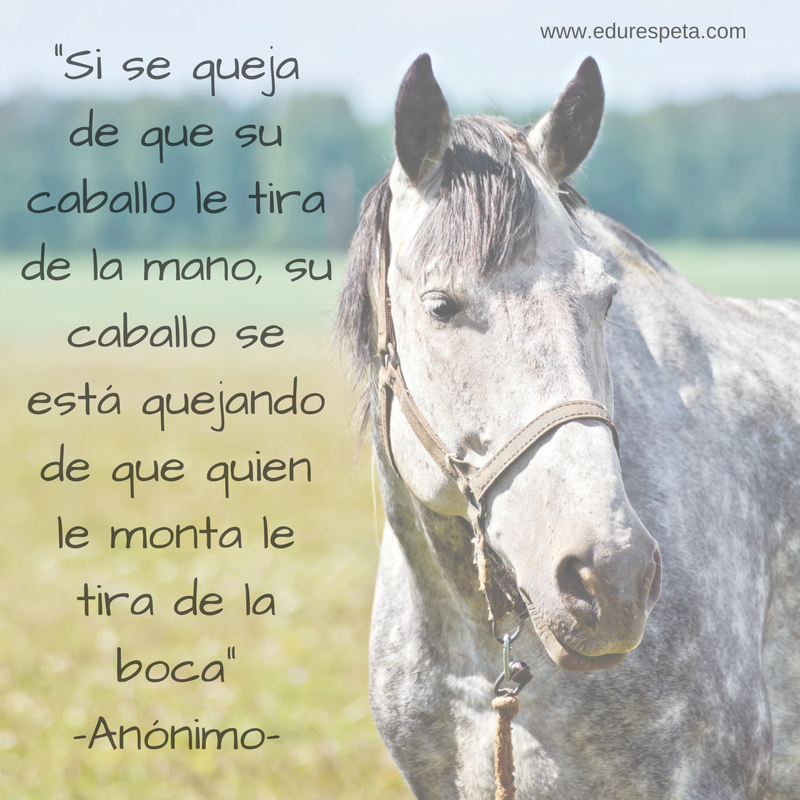 Si se queja de que su caballo le tira de la mano, su caballo se está quejando de que quien le monta le tira de la boca.