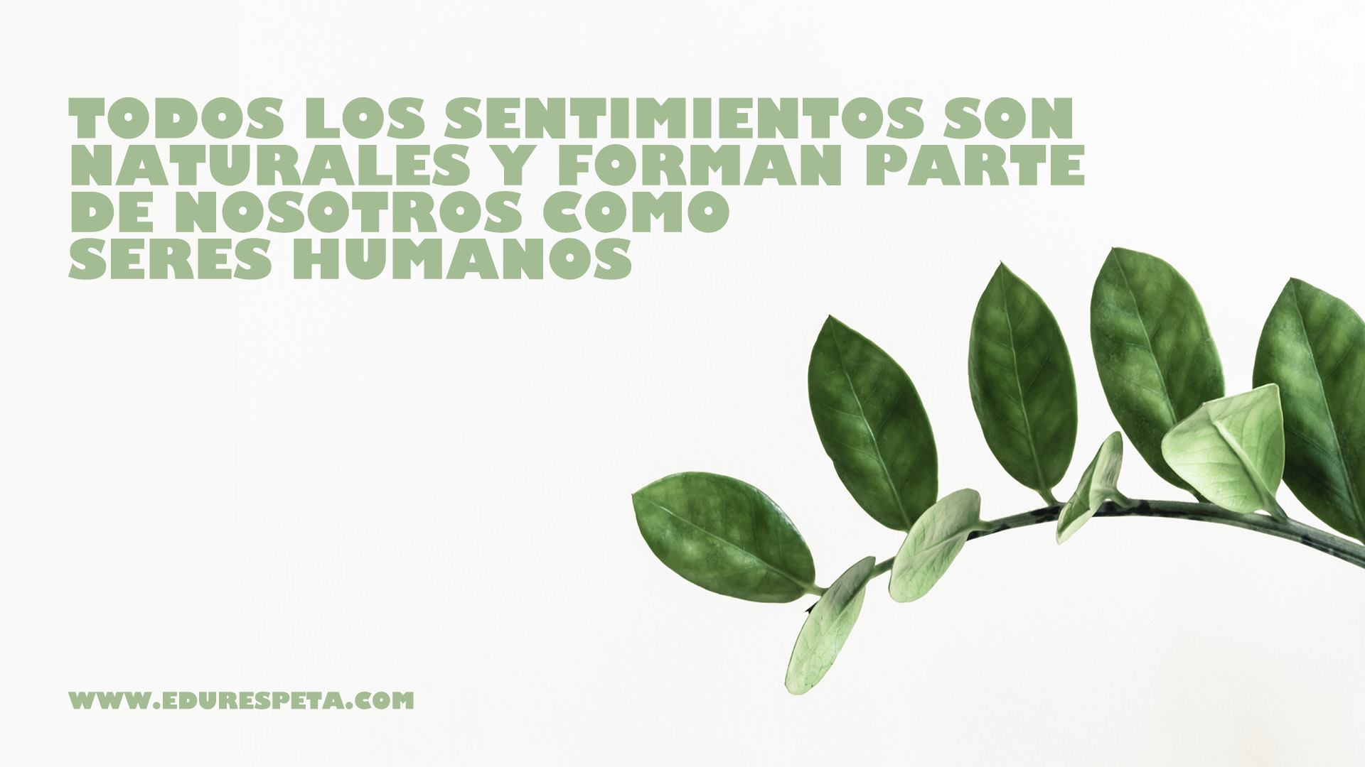 Todos los sentimientos son naturales y forman parte de nosotros como seres humanos ok