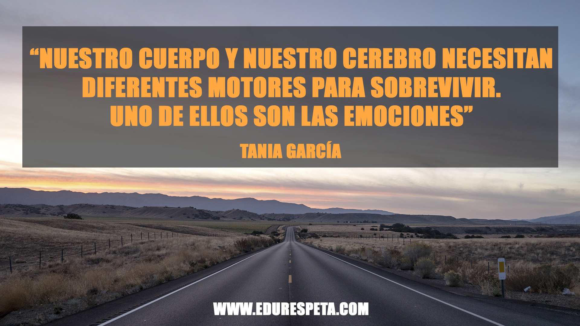 Nuestro cuerpo y nuestro cerebro necesitan diferentes motores para sobrevivir. Uno de ellos son las emociones